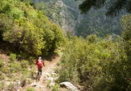 babadag-trail1